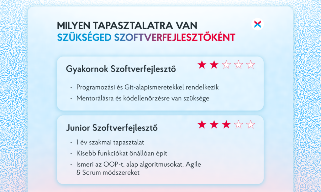 Mit csinál egy szoftverfejlesztő: készségek, feladatok, fizetés